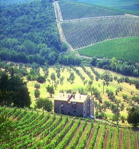 Campagna-fiorentina.jpg