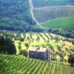 Amici fiorentini