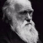 Social media Agency darwinism