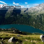 Buone Vacanze e Letture estive